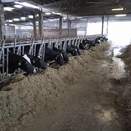 Da Gisella - Podere Barzia Bed & Breakfast *