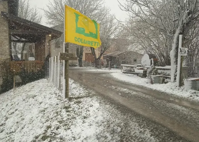 Da Gisella - Podere Barzia فندق مبيت وإفطار